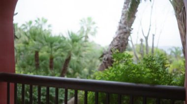 Yeşillik ve palmiye ağaçlarının olduğu tropikal bir manzara. Dağınık bir mercekle çekilmiş. Bir tatil köyü ortamında sükunet ve lüks hissi veriyor..