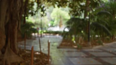 Ağaçlar, bulanık yapraklar, güneş ışığı ve sakin bir atmosfer yaratan ahşap bir çitin olduğu bir açık hava parkı yolu.