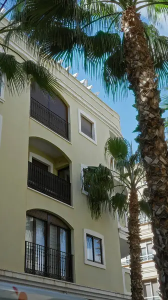 Açık mavi gökyüzünün altında, Torrevieja, İspanya 'da balkon ve palmiye ağaçlarıyla ön cephe inşa ederek, Akdeniz mimarisi ve açık hava manzarasını ön plana çıkarıyor..