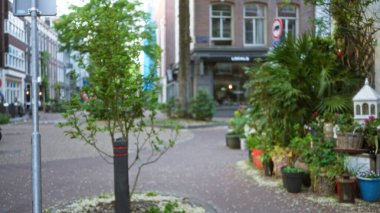 Bulanık bitki ve binaların olduğu, kentsel cazibe ve yeşilliğin yumuşak gün ışığında ele geçirildiği bir Avrupa caddesinin odaksız görüntüsü.