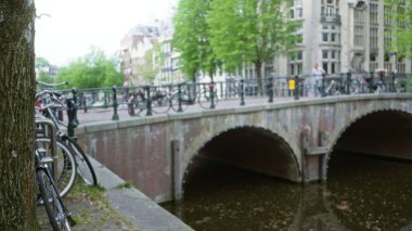 Bulanık bisikletler Amsterdam 'da ikonik bir kanal köprüsünün yakınındaki bir ağaca dayanıyor. Arka planda tarihi binalar ve bereketli ağaçlar var. Huzurlu bir şehir manzarası yaratıyor..