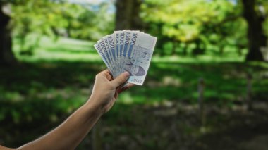 Güney Kore 'yi elinde tutan adam güneşli bir parkta açık havada banknotlar kazanarak doğal ortamda para birimini ön plana çıkardı..