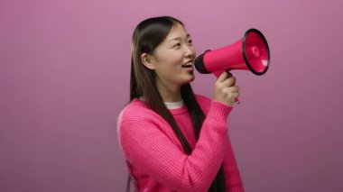 Pembe megafon giyen, arka planda izole edilmiş bir süveter giyen bir kadın. Güzel kadın portresi. Canlı duvarın üzerinde çekici bir yetişkin.
