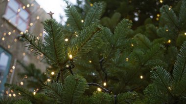 Londra sokaklarında parlayan ışıklarla süslenmiş Noel ağacı yeşil dalları ve dekoratif sıcacık ışıltısıyla bayram cazibesini vurgulayan şenlikli bir atmosfer yaratır..