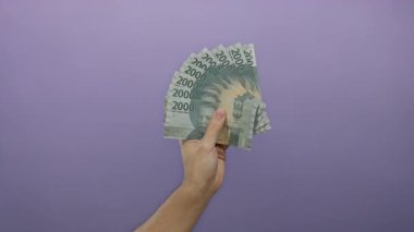 Mor bir zemin üzerinde Endonezya rupiah banknotları tutan adam, para biriminin tasarımı ve rengini vurguluyor, izole edilmiş ve finansal konsept görüntülerine odaklanmış..