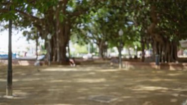 Güneşli bir günde büyük ağaçların altında dağılmış insanların oynadığı Bokeh Park sahnesi aydınlık ve gölgeli