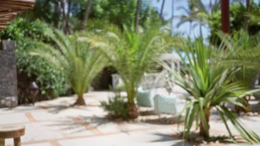 Bereketli yeşillik, bokeh etkisi ve rahat bir tatil havası için güneşli bir gökyüzü altında çözünmüş palmiyeler içeren bulanık bir arka plana sahip tropik tatil beldesi.