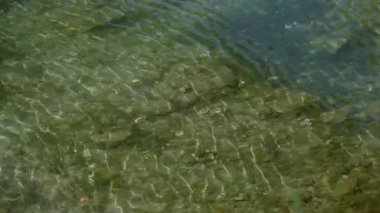 Güneşin altında kayalık nehir yatağından akan berrak su doğal dokuları ve dalgaları vurguluyor. Huzurlu ve huzurlu bir doğa sahnesi yaratıyor..