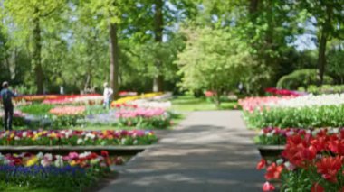 Güneşli bir günde yemyeşil ağaçlarla dolu renkli çiçeklerle dolu parkta yürüyen erkeklerin bulanık görüntüsü. Bokeh etkisi ve romantik bir ortam yaratıyor.
