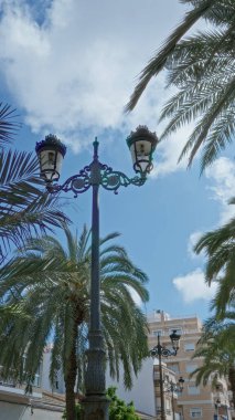 Şık bir sokak lambası, canlı mavi bir gökyüzünün altında bereketli palmiye ağaçlarıyla çevrili. Şehir ortamında beyaz bulutlar, güneşli bir günü işaret ediyor..