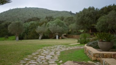 Dağınık Akdeniz bahçesinde bulanık bir yol. Bokeh, sergilenen taş patika, zeytin ağaçları ve huzur dolu, sakin yamaçtaki doğal manzara..