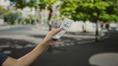 Şehir sokağında, güneş ışığı altındaki ağaçların altında Amerikan doları banknotunu tutan adam, finansal değişim ve kentsel çevre kavramlarını vurguluyor..