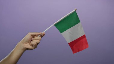 Mor bir arka plan karşısında İtalyan bayrağını tutan bir adamın resmi ulusal gurur ve kimlik teşhir ediyor..