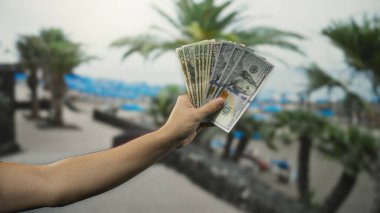 Adam, deniz kıyısında bir kumsalda Amerikan dolarlarını tutuyor, arka planda palmiye ağaçları olan bir avuç dolusu banknot sergiliyor, boş zaman ve zenginlik öneriyor..