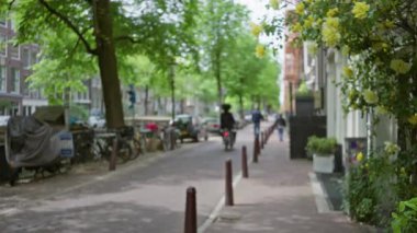Bir Amsterdam caddesinin bulanık görüntüsü sarı çiçekler, ağaçlar, park edilmiş bisikletler ve sakin bir şehir manzarası yaratan yayalar yakalıyor..