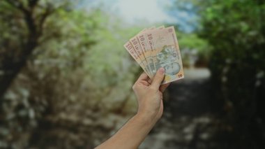 Kafkasyalı adam, Romanya lei banknotlarını bir parkta tutuyor. Açık alanda bulanık bir arka plana karşı döviz ve finans sergiliyor..