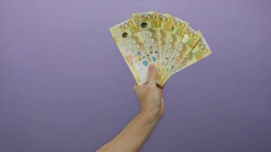 Beyaz adamın eli, mor izole edilmiş duvar arkaplanına karşı 500 peso Filipin banknotunu tutarken para ve zenginliği vurguluyor..