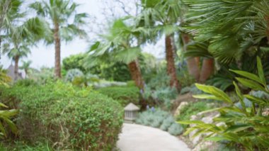 Bereketli tropikal yeşilliklerle çevrili bulanık bir yol. Lüks bir tatil köyünde, palmiye ağaçları ve güneşli bir gökyüzünün altında canlı yapraklar, sakin bir açık hava kaçışı yaratıyor..