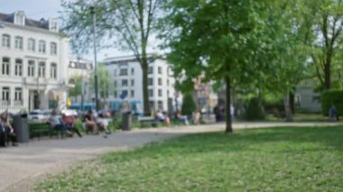 Güneşli bir şehir parkında dingin yeşil ağaçlar ve binaların berrak bir gökyüzü altında sakin bir atmosfer yarattığı bulanık bir manzara..