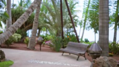 Tropik bir tatil köyünün bulanık görüntüsü palmiye ağaçları, ahşap bir bank ve yemyeşil arka planda.