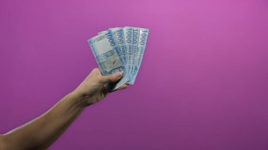 Mor bir geçmişe karşı elinde Macar forint banknotları tutan adam zenginlik ya da finansal refah kavramını sergiliyor..