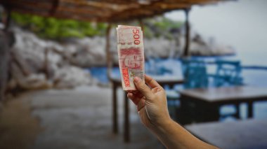 İsveç 'i yazın deniz kenarında bir terasta tutan adam, sahildeki iş potansiyeli ile uluslararası seyahat ve yatırımı vurguluyor..