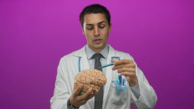 Üniformalı genç İspanyol erkek doktor, ensesinde steteskop olan beyin modelini soyutlanmış pembe arka planda tutuyor.