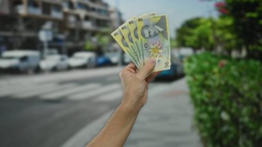 Bir şehir caddesinde elinde Romen lei banknotları tutan bir adamın resmi..