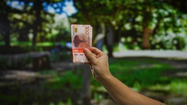 Bir adamın eli, şehir parkında bir Norveçli Krone banknotunu tutuyor. Yeşillik ve bereketli bir şehir ortamındaki yatırımları ve iş işlemlerini sembolize ediyor..