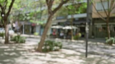 Ağaçlar, binalar ve yeşil ve güneş ışığıyla çevrili sakin bir kentsel alandaki insanların olduğu bir açık hava sokak sahnesi.