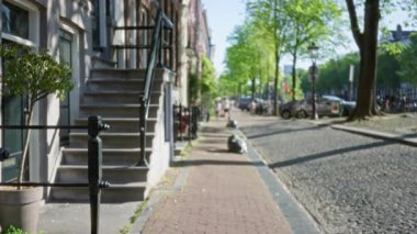 Avrupai bir caddenin parke taşları ve yemyeşil ağaçlarla bulanık manzarası aydınlık gün ışığında kentsel sükuneti gösteriyor.