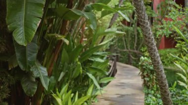 Lüks bir tatil köyünden geçen yemyeşil bitkilerle çevrili tropik bir yürüyüş yolu. Canlı yeşillikler ve odak noktasında sakin bir açık hava ortamı..