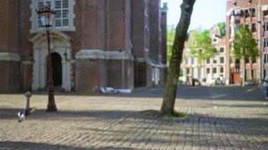 Avrupai şehir meydanında gün ışığı altında ağaçlarla çevrili tarihi binalar ve kaldırımlarla puslu bebek arabasını iten kadın..