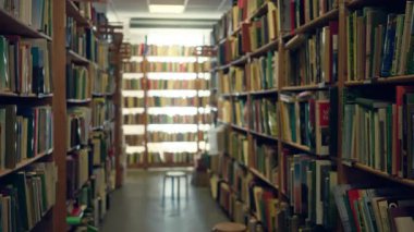 Kütüphanedeki bulanık kitaplıklar sayısız renkli kitap ve yumuşak ışıklandırılmış bir iç mekan taburesi ile huzurlu ve sessiz bir akademik atmosfer yaratıyor..