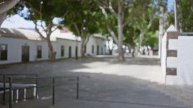 Ianzarote İspanya 'daki açık hava sahnesi bulanık arka planda sakin bir ortamda sokak binaları ve ağaçları gösteriyor.