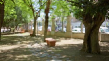 Güneşli bir şehir parkındaki ağaçların ve bankların odak noktalarından arındırılmış hali, odak noktasında sakin bir arka plan yaratıyor.