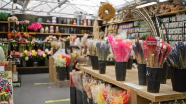 Renkli çiçekleri ve bitkileri olan bulanık çiçekçi görüntüsü yoğun bir dükkan ortamında canlı bir çeşitlilik sergiliyor..