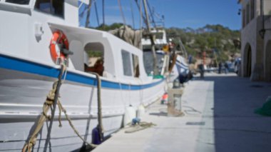 Kala figür portu, mallorca 'ya kenetlenmiş teknelerin bulanık görüntüsü, deniz halkalarının altını çizmek, hayat dolu yüzükler, ve bulanık arka planı olan pitoresk Akdeniz atmosferi.