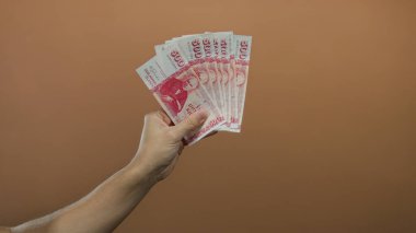 Kafkasyalı bir adam, kahverengi duvar arkasında Sırp banknotları tutuyor, para ve finans temasını el ve para odaklı izole bir ortamda sergiliyor..