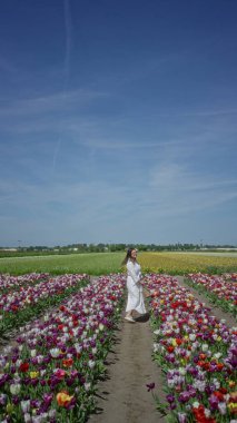 Lisse Hollanda 'daki canlı lale tarlalarında yürüyen bir kadın berrak mavi bir gökyüzünün altında üzerinde her yönden sarmalanmış renkli çiçeklerle beyaz bir elbise giyiyor..