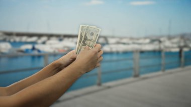 Arka planda tekneler görünen Amerikan dolarlarını tutan adam, seyahat ya da turizm öneriyor, liman tarafından para kavramını vurguluyor..