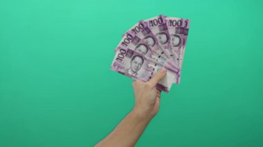 Beyaz adam Filipin pesolarını canlı yeşil duvarın üzerinde tutuyor, izole edilmiş arka plana karşı canlı para birimini vurguluyor..