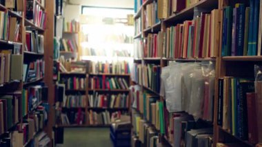 Değişik renkli kitaplarla dolu loş bir kütüphanede raflar, bulanık, dar koridorlu, bulanık keşifleri davet eden rahat ve akademik bir atmosfer yaratıyor..