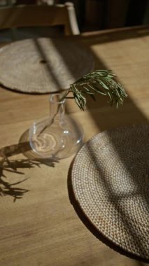 Güneşli masa, cam vazo ve zeytin dalı ile örülmüş tabaklar üzerinde huzurlu bir restoranda sıcak bir Akdeniz atmosferi yaratır..