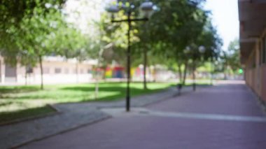 Güneşli bir günde sessiz bir parkta ağaçlar ve elektrik direkleriyle kaplı bulanık patika yeşil yapraklı ve odaksız arka planda sakin bir açık hava yaratıyor.