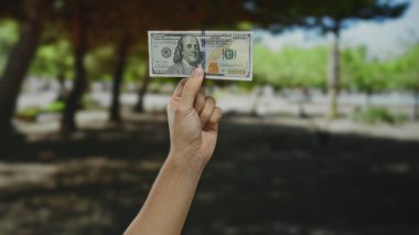 Erkek, güneşli bir park ortamında bize dolar banknotu tutuyor. Para birimini ve açık hava finansal konseptini yansıtıyor. Finans ve yaşam tarzı konularına uygun..
