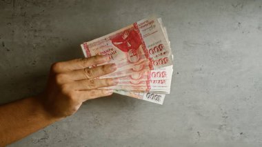 Elele tutuşan İzlanda Krona banknotları somut arka plana karşı, finansal temayı ve İzlanda 'nın para birimini vurguluyor.