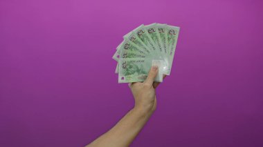 Pembe arka planda tek kişilik banknotlar tutan bir adam fan düzeninde birden fazla banknot gösteriyor, para ve finans kavramlarını vurguluyor..