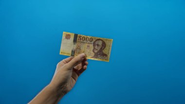 Mavi izole edilmiş arka planda Macar banknotu tutan adam kavramsal bir ortamda para ve ekonomi gösteriyor..
