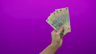 Romen lei banknotlarını elinde tutan Kafkasyalı bir adam canlı pembe bir duvar parasına karşı münferit bir ortamda, finansal temalara vurgu yaparak.